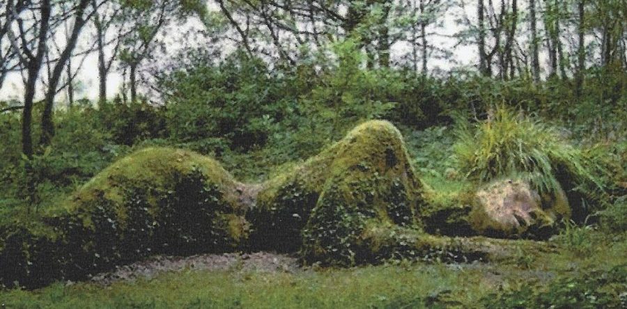 Ecofemminismo, l’ultimo numero della rivista “Marea”