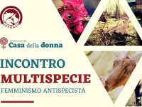 Femminismo antispecista, incontro con le volontarie di Ippoasi