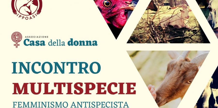 Femminismo antispecista, incontro con le volontarie di Ippoasi