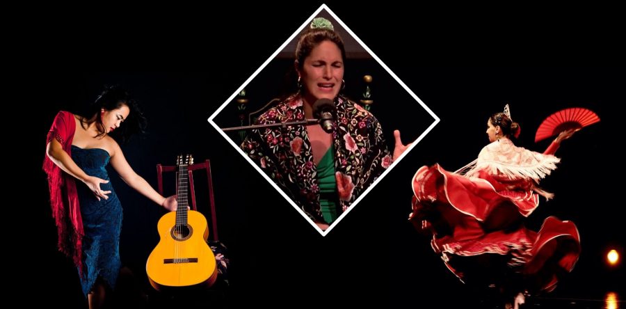 Las Tres Rosas alla Casa della donna: Spettacolo di flamenco contro la violenza sulle donne