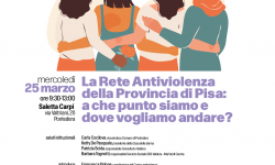 La Rete Antiviolenza della Provincia di Pisa: a che punto siamo e dove vogliamo andare?