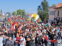 Pro Pal denunciati a Pisa, solidarietà